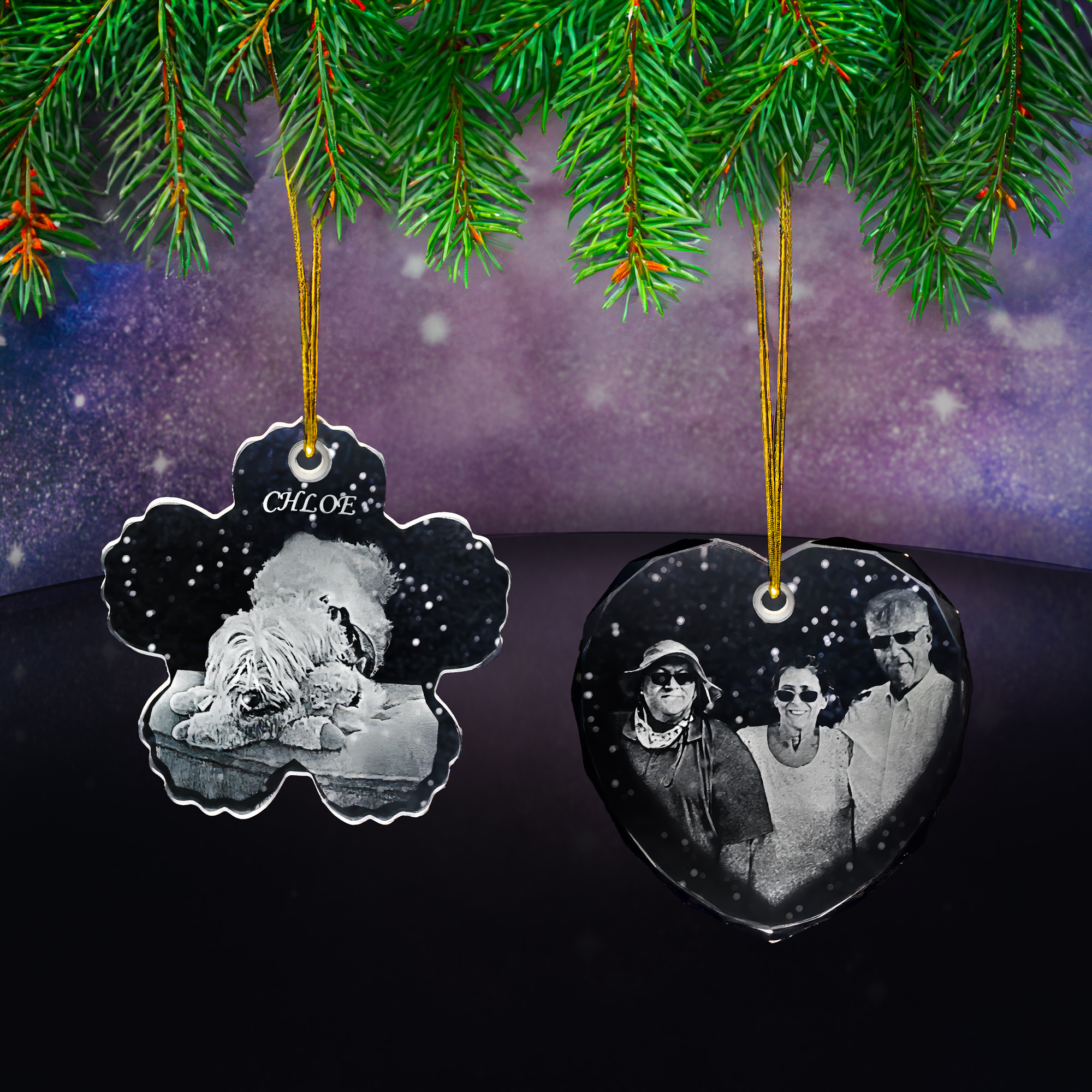 GROUP4ORNAMENTSWITHTREE